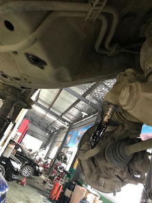 發動機懸掛系統更換全攻略 下擺臂、元寶梁與機腳紙元寶的維護